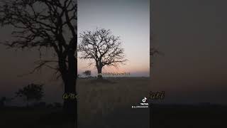 Download lagu story wa (penipu hati cover) mp3 Download lagu story wa (penipu hati cover) mp3