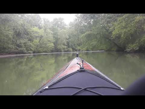 Kayaking Dowstream "Buzzard Roost Creek,"  AL