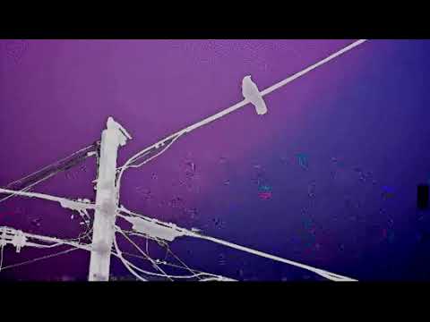 FREE 154 bpm pulse x apache x kill ebola trap metal