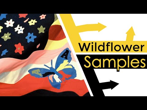Every Sample From The Avalanches Wildflower