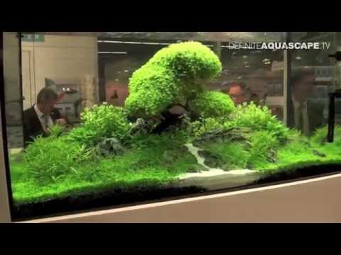 Aquarium ideas from InterZoo 2014 (pt.32) - OASE GmbH