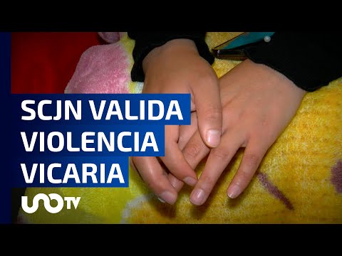 La Suprema Corte de Justicia de la Nación validó la violencia vicaria.