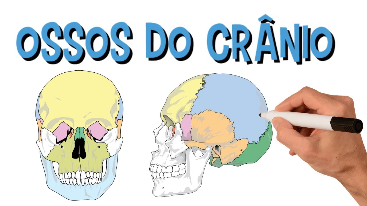 ✅ CRÂNIO: OSSOS DA CABEÇA EM 2 MINUTOS