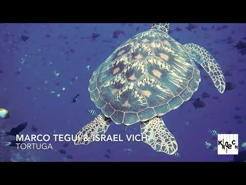 Marco Tegui & Israel Vich - Tortuga / Kindisch