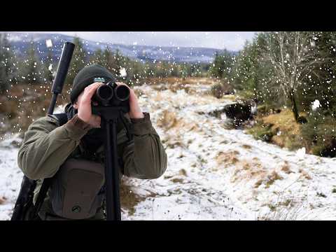 STALKING DEER IN SNOWY MOUNTAINS | Sika in the Wicklow Mountains Film Preview