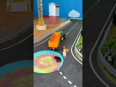 Dogs and remote control cars #builderc #shorts