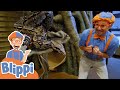 Blippi Plays Feeds Animals At The Zoo Animals For Kids Educational Videos For Toddlers