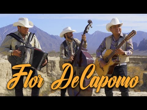 Contrafuego "Flor De Capomo" / "Kapo Sewa"  Lengua Yaqui / Español