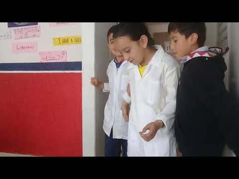 ten video THE POISON APPLE 3