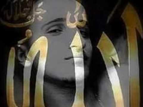 Crazy Albanians - DALE DALE