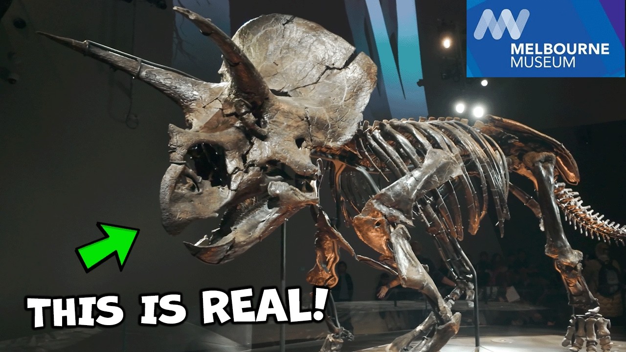 Dive into a fascinating walking tour at Melbourne Museum.