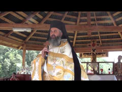 Arhim. Dumitru Cobzaru - Duminica a 6-a d. Rusalii, Sfantul Proroc Ilie, Manastirea Cristorel, Cluj