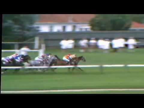 GREY WAY (NZ) 1977 EASTER HANDICAP