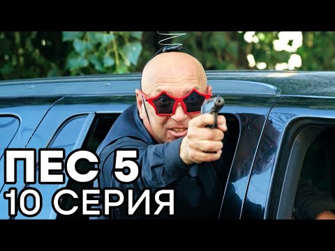 Сериал ПЕС - 5 сезон - 10 серия - ВСЕ СЕРИИ смотреть онлайн | СЕРИАЛЫ ICTV