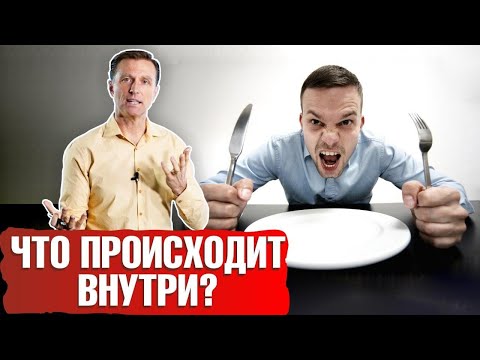 Интервальное голодание: что происходит внутри?