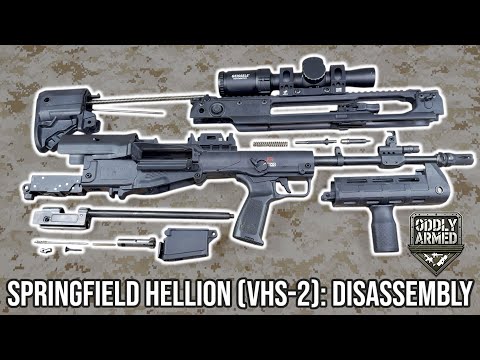 Springfield Hellion (VHS-2): Demontage