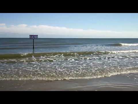 Lake Jackson Galveston Beach Lake Jackson Sea Center TX USA 2014 Senthil Kumar Kurunthachalam