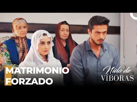 Ejder Y Elvan Se Van A Casar - Nido De Víboras