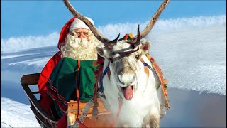 Père Noël et rennes en Laponie 🦌🎅 course de renne et départ pour la nuit de Noël - Santa Claus