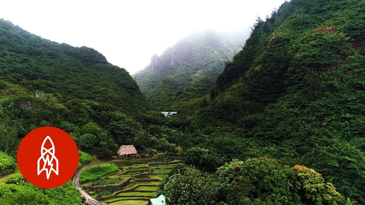 Explore the Valley Protecting Hawaii’s Ancient Plants