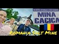 Salt Mine In Romania Salina Cacica