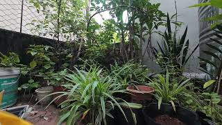 Ngày nào cũng vậy