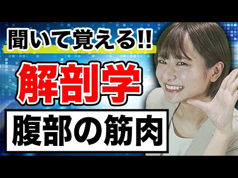 医学科 【解剖学】覚えにくい解剖学の腹部の筋肉について(医学生・医療系学生向け)