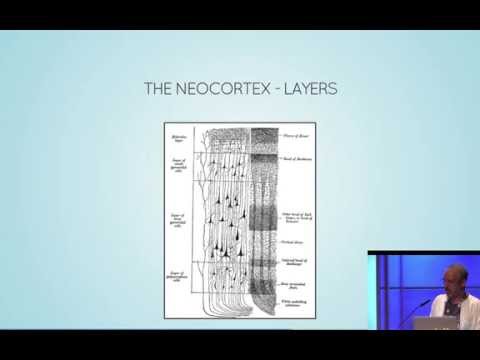 EuroClojure '14: Clortex: Real Machine Intelligence based on Neuroscience