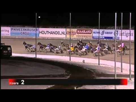 Victoria Park Wolvega 7-12-2012 koers 2 ANDES LION - D. TESSELAAR (BOKO CHAMPIONS CHALLENGE