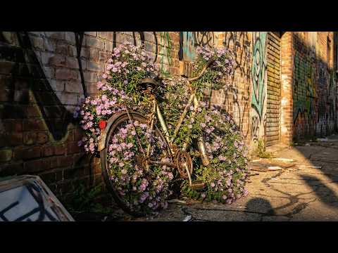 Flowers Blooming in Unexpected Places - Made with Ray3.14