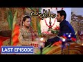 Sila E Mohabbat Episode 41 To Last Episode Promo | Sila E Mohabbat Full Story | Hum Tv Drama