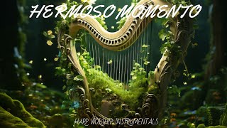 HERMOSO MOMENTO / PROPHETIC HARP WARFARE INSTRUMENTAL / DAVID HARP/ SPANISH WORSHIP MUSIC