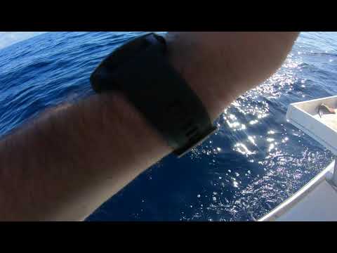 10 Fishing in Puerto Rico(Gran Canaria) 2019-11-24 with White-Marlin.com