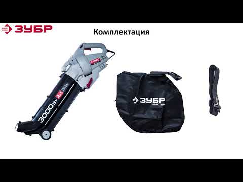 Миниатюра изображения товара Воздуходувка электрическая Зубр ЗПСЭ-3000