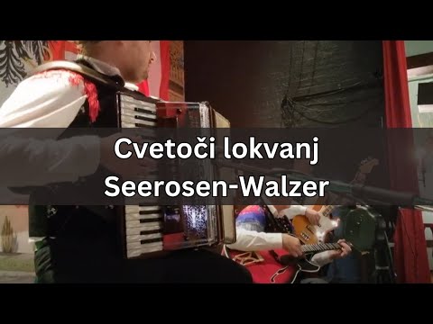 Cvetoči lokvanj - Seerosen-Walzer (Alpski Muzikantje - Melbourne) #oberkrainer #accordion