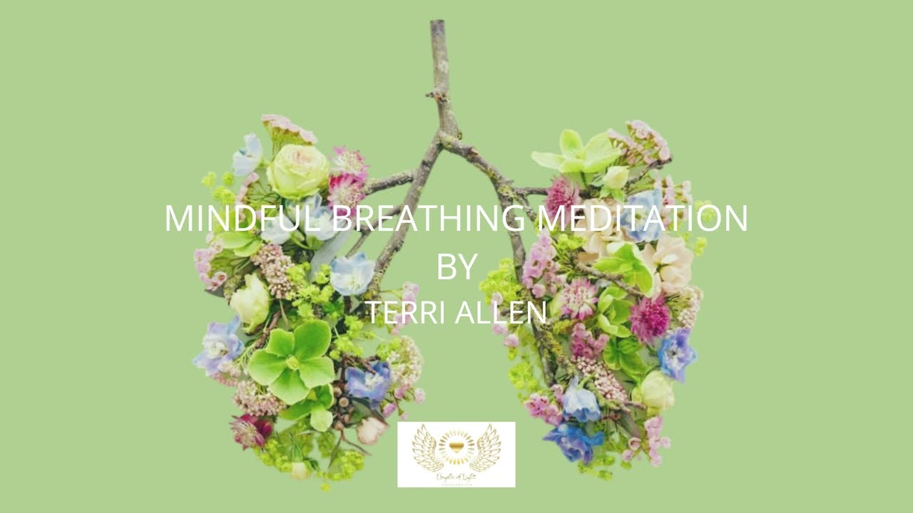 Mindfulness meditations by Terri Allen