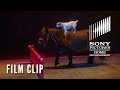 ADVENTURES OF DALLY AND SPANKY Clip - "Big Moment" on DVD & Digital 9/10