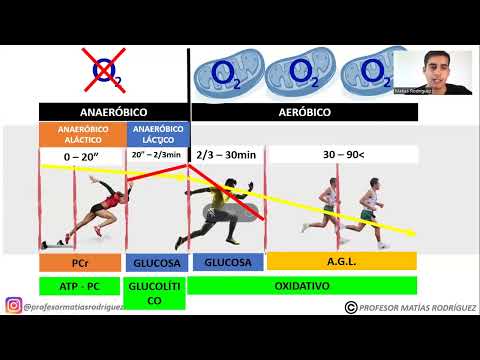 ASÍ FUNCIONAN tus SISTEMAS ENERGÉTICOS 💥 (Fácil y sencillo)