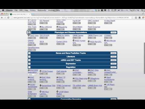 CSB250: Epigenomics Exercise 1
