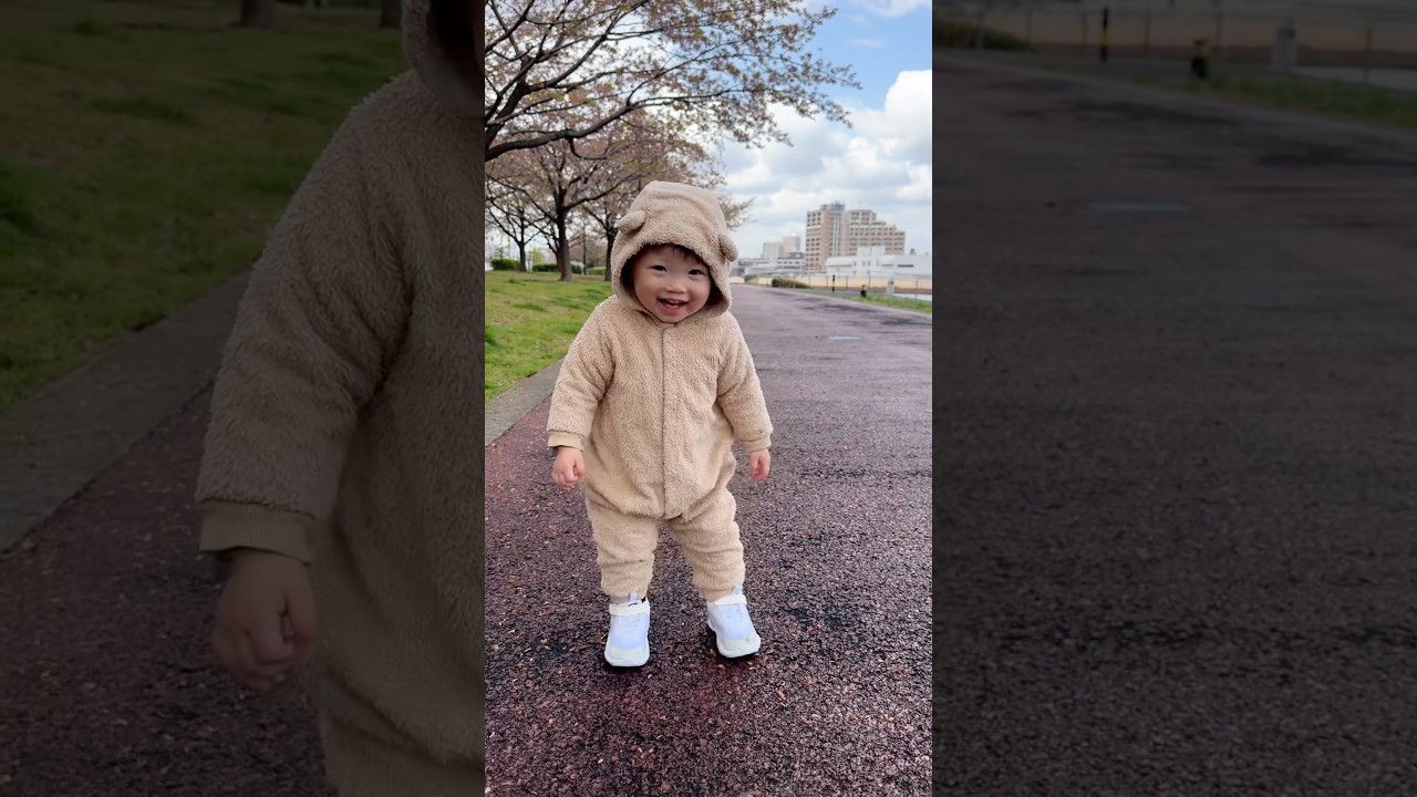 【1歳7ヶ月】桜とくまさん🌸🧸#赤ちゃん #ベビー #baby #cherryblossoms