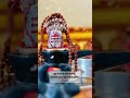 Shiv Ji Status Mahadev Whatsapp Status Mahakal Bhakt Mahadev Mahadev Mahadev Mahadev Mahadev