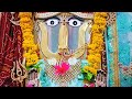 Mhane Jhunjhunuwali Maiya Rajrani Lage Rani Sati Dadi Bhajan Ranisatidadi Shorts Shortsfeed
