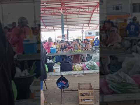 FEIRA LIVRE DE TANQUE NOVO BA