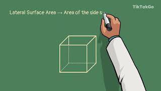C12.B1.TP.1 - Basics of surface area and volume