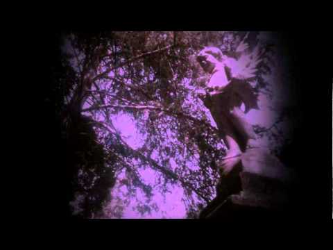 Reaper´s Consecration: Zombiefication EP Teaser [2012]