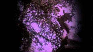 Reaper´s Consecration: Zombiefication EP Teaser [2012]