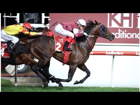 Darren Weir did not expect the Nature Strip to 'blow them', but could not be happier with the horse