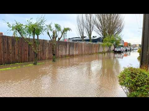 Cortan el tránsito en calle La Vega de Talcahuano para evitar que el agua ingrese a las viviendas