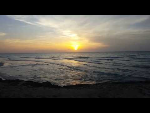 Video 2017 08 06, 5 02 52 PM