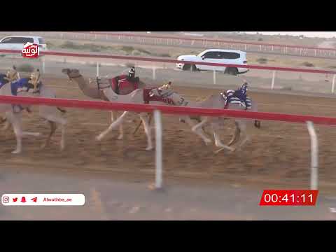  ش 6 (الشاهينية) لـ الشرقي بن حموده بالزفنه الحرسوسي 2:18 , شارة الصندوق 2026/06/07 فطامين الجبيب  